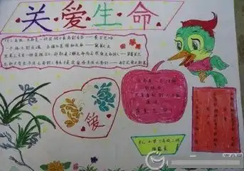 关于珍爱生命的手抄报图片