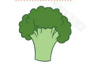 西兰花简笔画图片大全画法