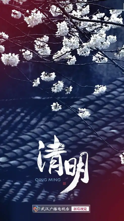 今日,清明