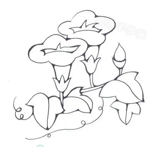 牵牛花简笔画怎么画