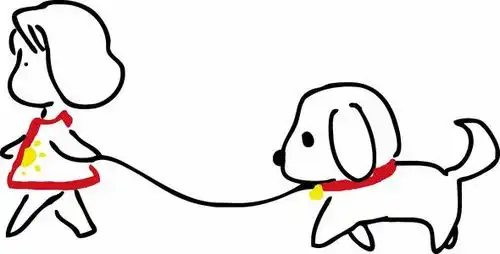 饲养幼犬的五大雷区,铲屎官,你踩了几条狗狗