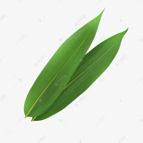 端午端午节安康传统节日粽叶素材图片免费下载千库网