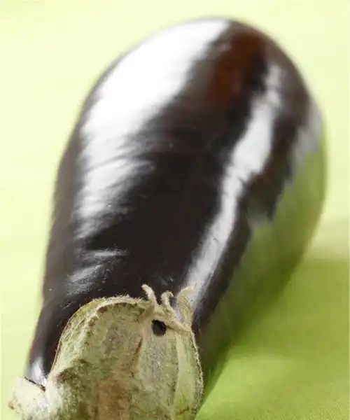 茄子最好吃的做法,我家每隔三五天就做一次,每次连汁都不剩下
