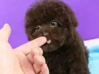 列表网