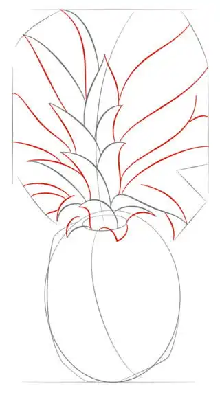 菠萝简笔画