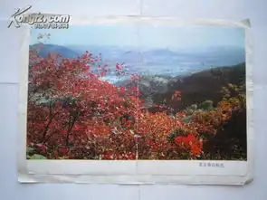 北京香山秋色背贴纸订购16开书可随送