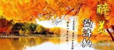 自选更贴心9月3010月810月917号金秋十月,永恒经典,感受生命演绎秋色,圆梦金色额济纳胡杨林