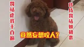 干坏事要罚站