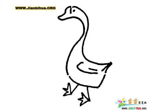 鸡鸭鹅简笔画图片10张画技法大全