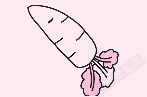 胡萝卜简笔画图片大全教程