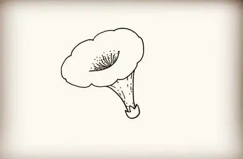 幼儿园简笔画教程喇叭花上的毛毛虫