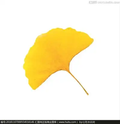 又到秋色尽染时,看红叶你去哪儿
