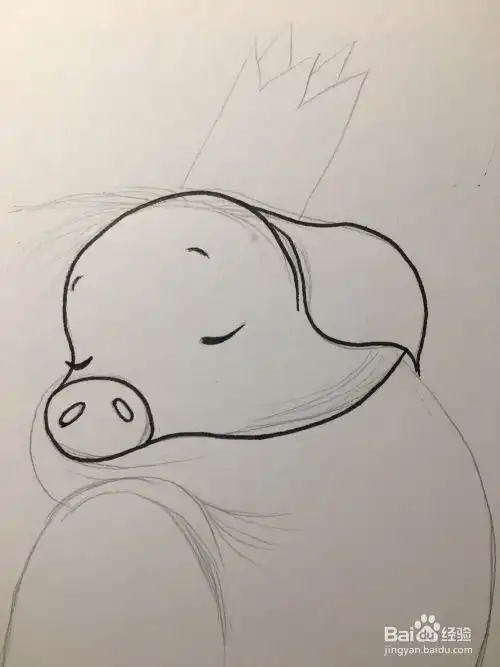 2019猪年画一只可爱的猪宝宝猪简笔画