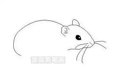 小老鼠简笔画怎么画简单又漂亮