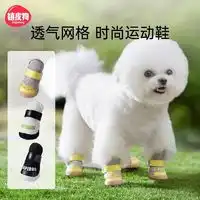 共度猫狗通用服饰gongdu共度狗狗雨衣连体头尾四脚全包透气宠物雨衣防水中小型泰迪比熊犬红色潮款大号911斤狗狗适用多少钱