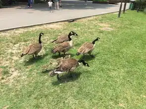 上海植物园