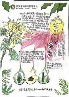 收获满满青山秋意浓公园变学堂