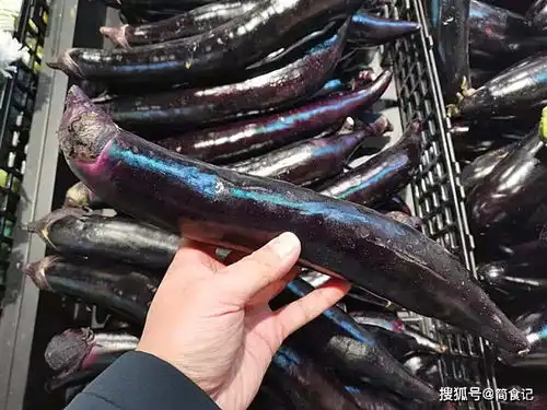 买茄子时,选紫把的还是绿把的差距很大,千万别选错了