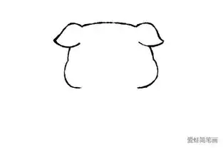 猪年画小猪站着的小猪怎么画