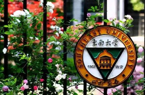 13岁上大学,19岁南大读博00后天才少女研究中国芯